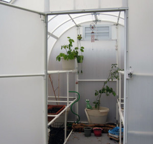 Debbie sent us this picture of her Solexx Greenhouse.